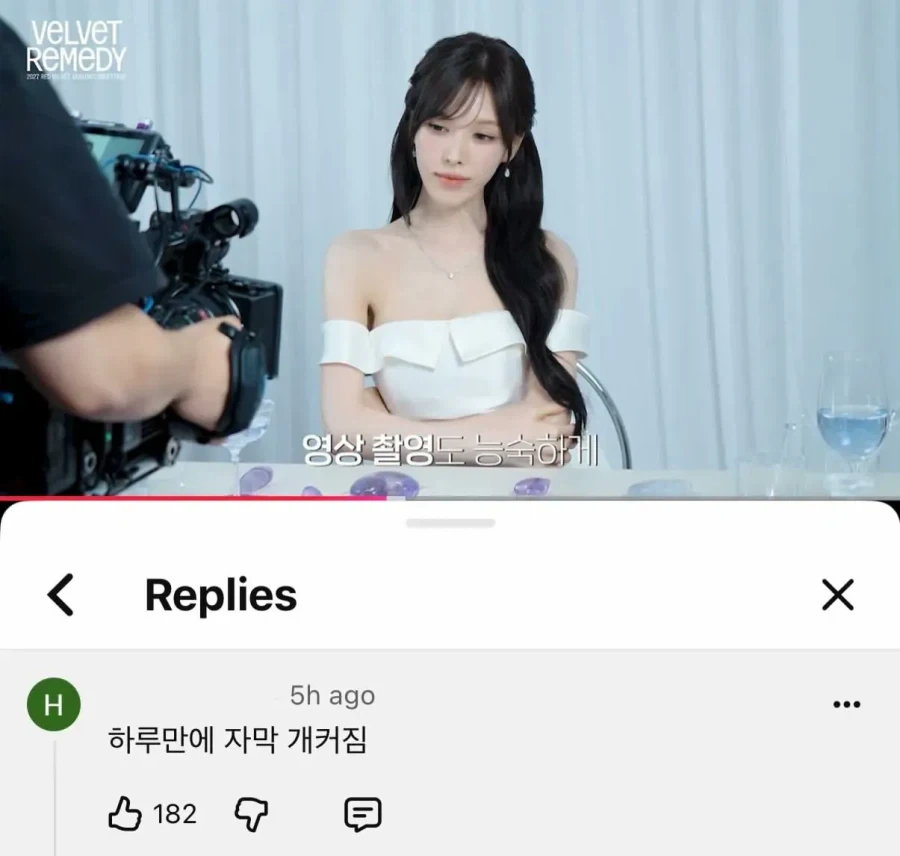 레드벨벳 유튜브 나이먹은팬의 일침.jpg_2.webp