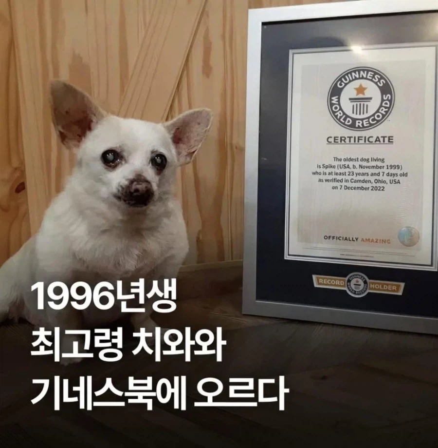 화가나면 속시원하게 풀어야하는 이유_1.webp