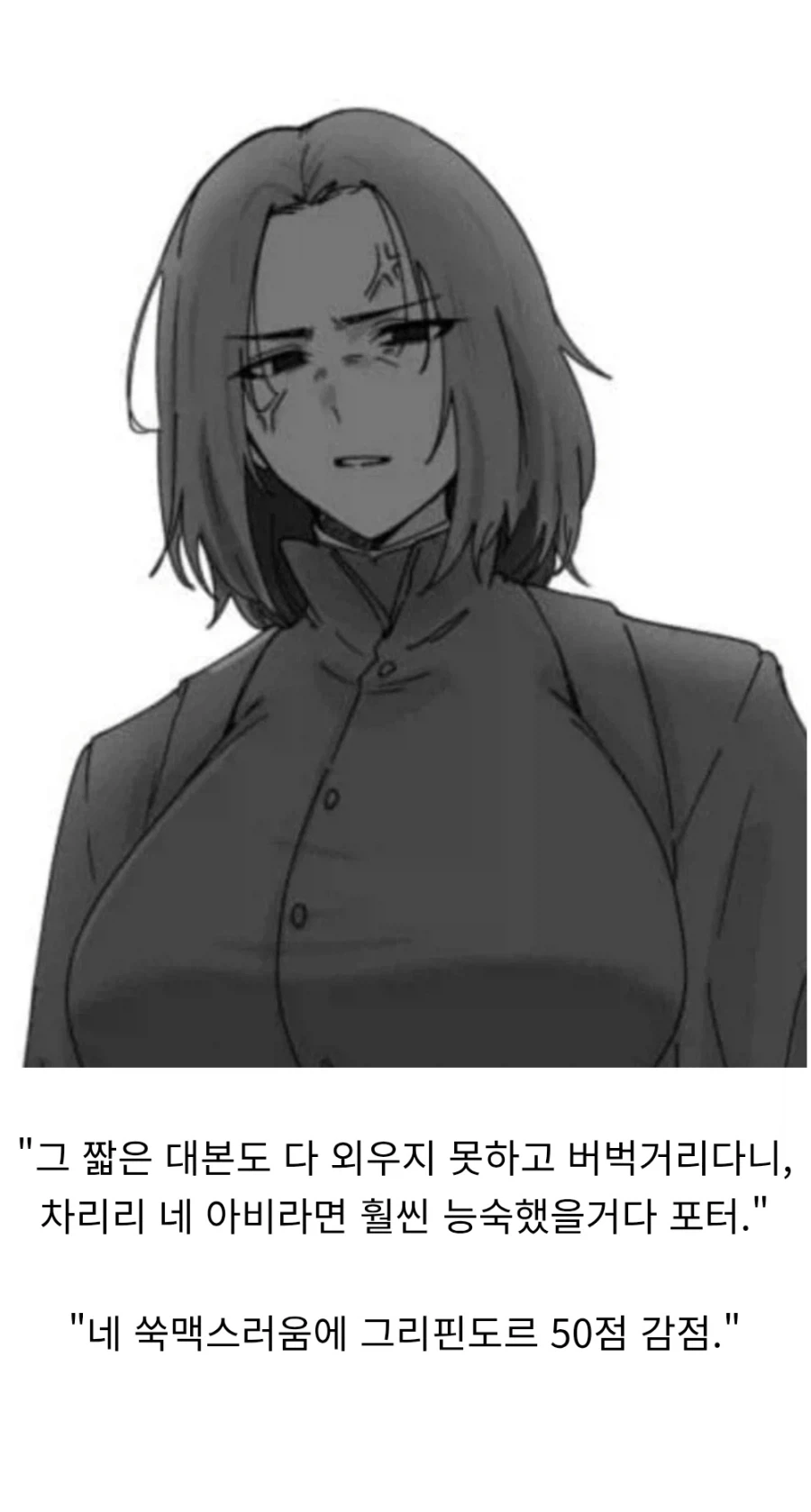 해리포터)