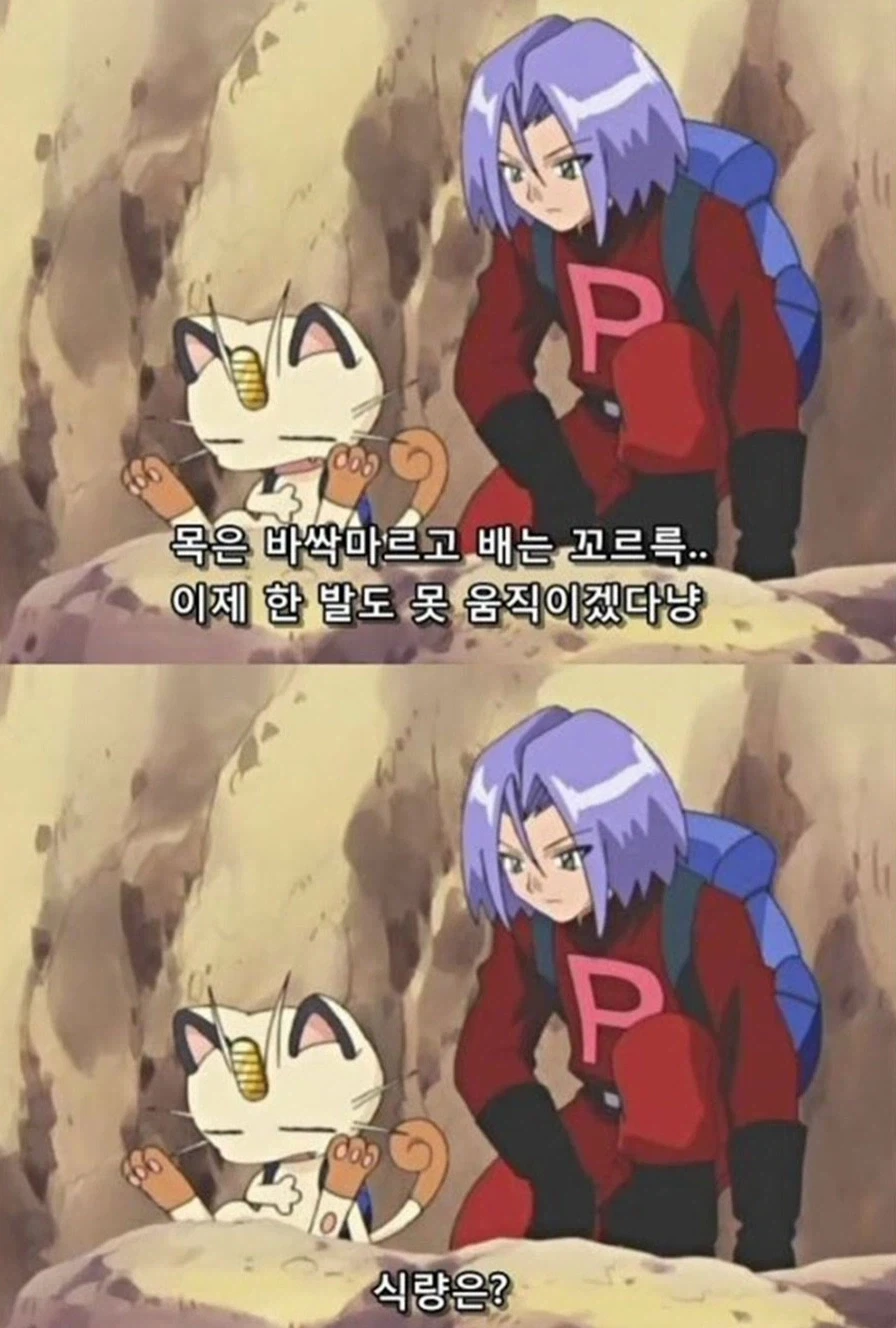 포켓몬스터에서 악역으로 나오는 로켓단의 인성_8.webp