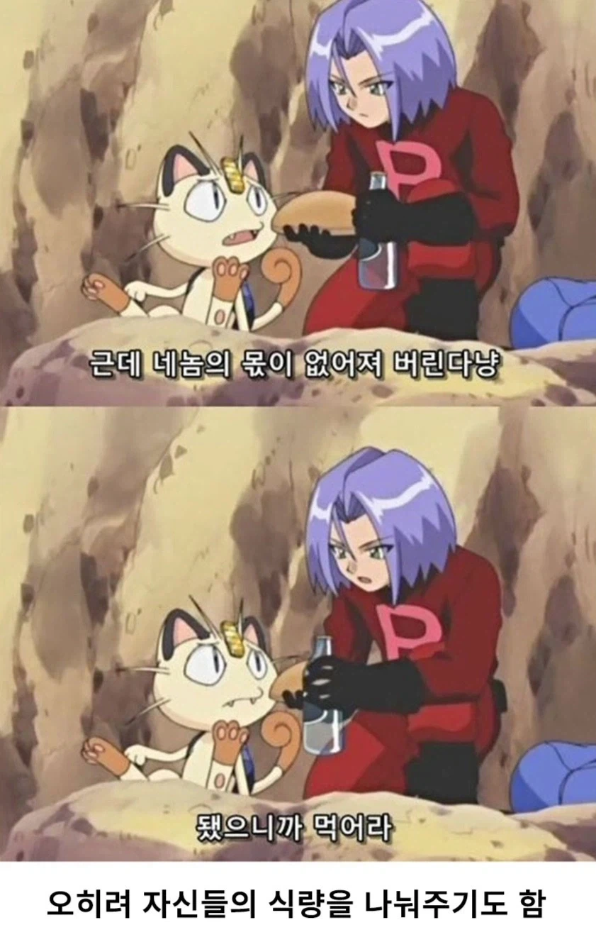 포켓몬스터에서 악역으로 나오는 로켓단의 인성_10.webp
