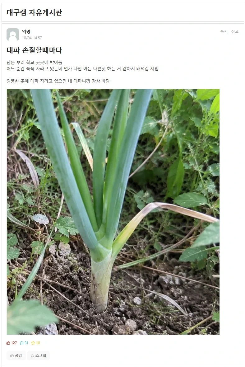 남은 대파를 학교에 처리하는 사람 ㄷㄷㄷㄷ_1.webp