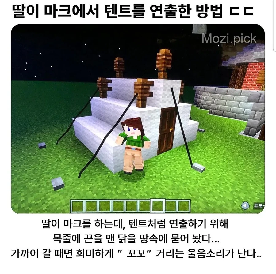 11.jpg 딸이 마크에서 텐트를 연출한 방법.jpg