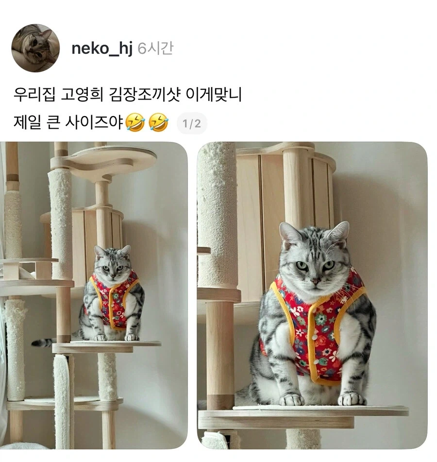 김장철 고영희._1.webp