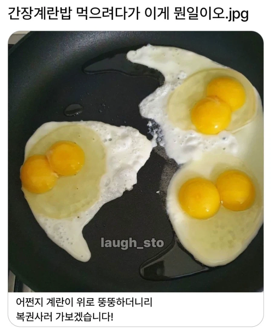 간장계란밥 먹으려다가 마주친 역대급 쌍란_1.webp