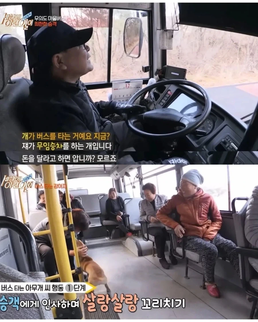 5키로 떨어진 친구 집 가려고 버스 무임승차_2.webp
