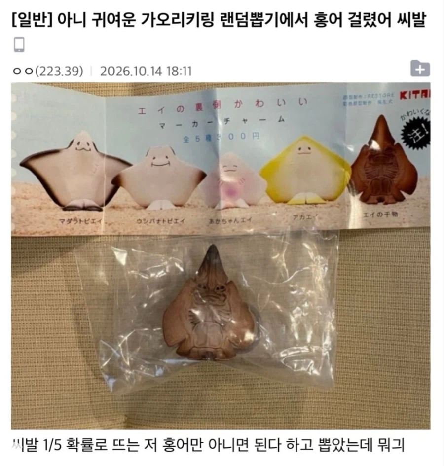 아니 귀여운 가오리키링 랜덤뽑기에서 홍어 걸렸어 씨1발_1.webp