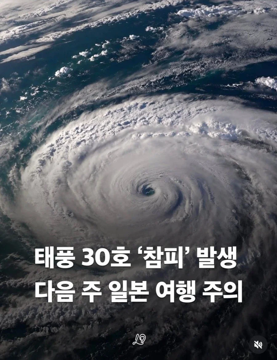 태푸풍~ 똥닝겐상은 세레브한 와타시의 비바람이나 먹는데스_1.webp