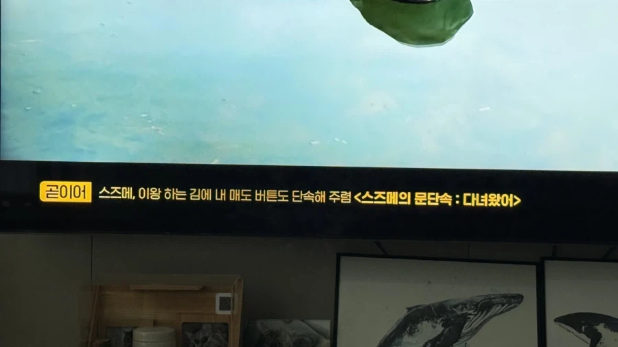 OCN 돌았냐고 ㅋㅋㅋ_1.webp