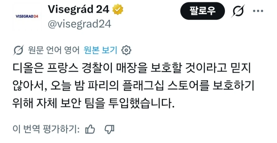 프랑스 디올 매장 프랑스 경찰 믿지 못해 용병 투입_1.webp