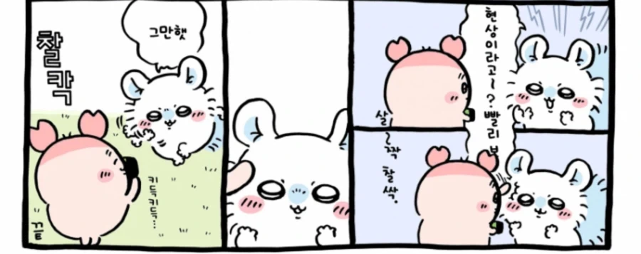 치이카와) 모몽가가 호불호가 갈리게 된 이유_1.webp
