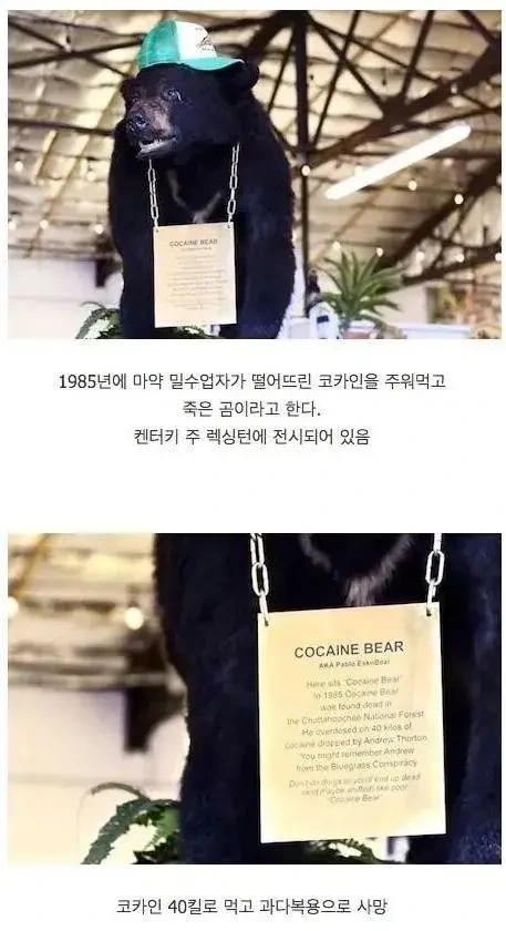 코카인 40kg 원샷.webp_1.webp