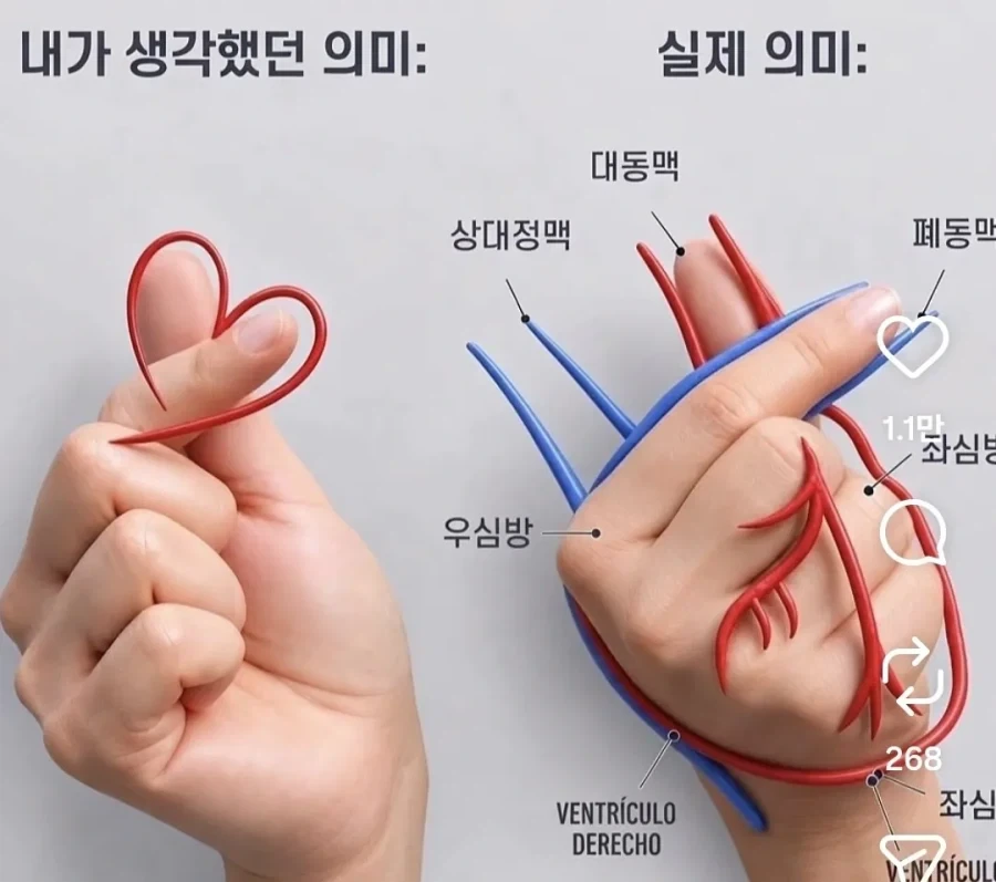 손가락 하트의 진짜 의미_1.webp