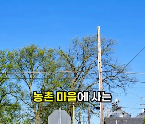 소방관이 출동했지만 불을 끄지 않은 이유.jpg_3.webp