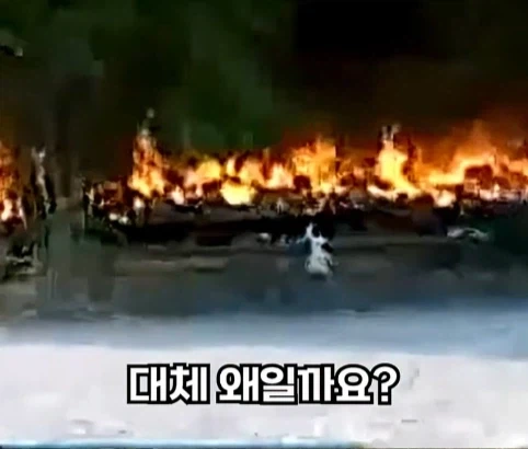 소방관이 출동했지만 불을 끄지 않은 이유.jpg_8.webp