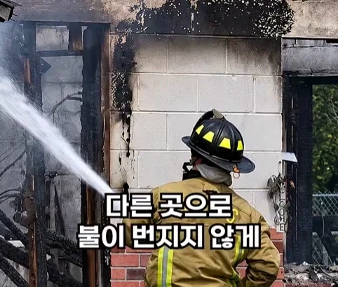 소방관이 출동했지만 불을 끄지 않은 이유.jpg_19.webp