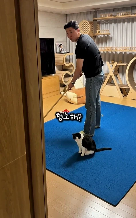 고자극에 중독된 고양이들_2.webp