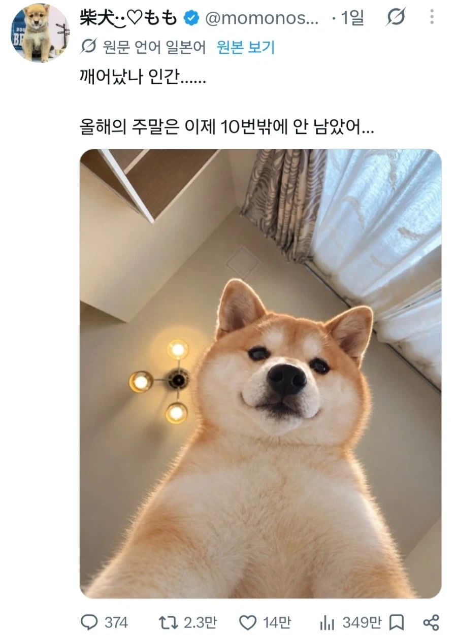 SNS보다 빨간약 먹음_1.webp