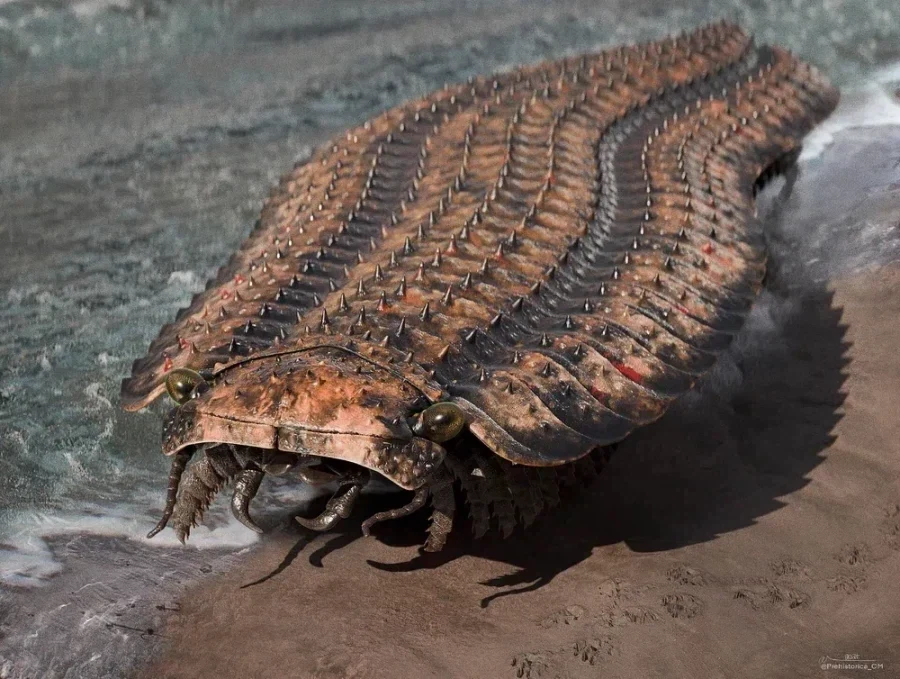 아르트로플레우라 Arthropleura라고 한다_1.webp