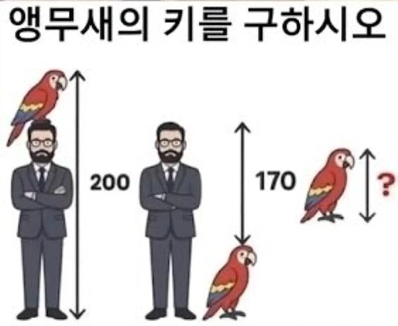 앵무새의 키를 구하시오.jpg_1.webp