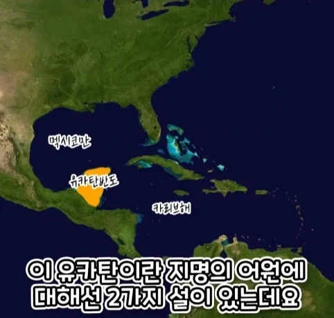 오해로 생긴 명칭.jpg_19.webp