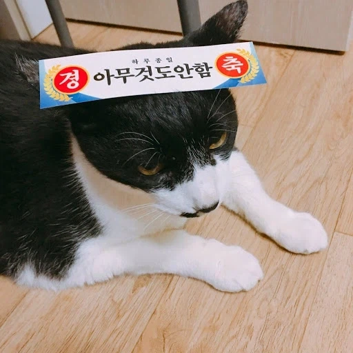 미국 최악의 대통령을 알아보자.araboza_3.webp