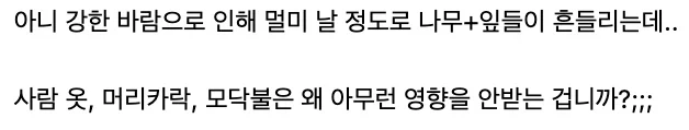 붉은사막) 의문을 품은 유져 vs 의문을 푸는 유져_1.webp