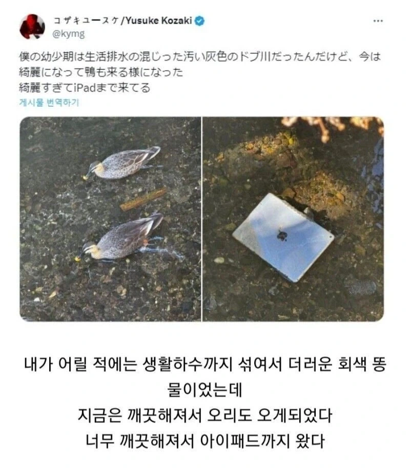 일본 하천 vs 한국 하천_1.webp