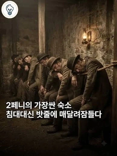 마가야로들의 유토피아_1.webp