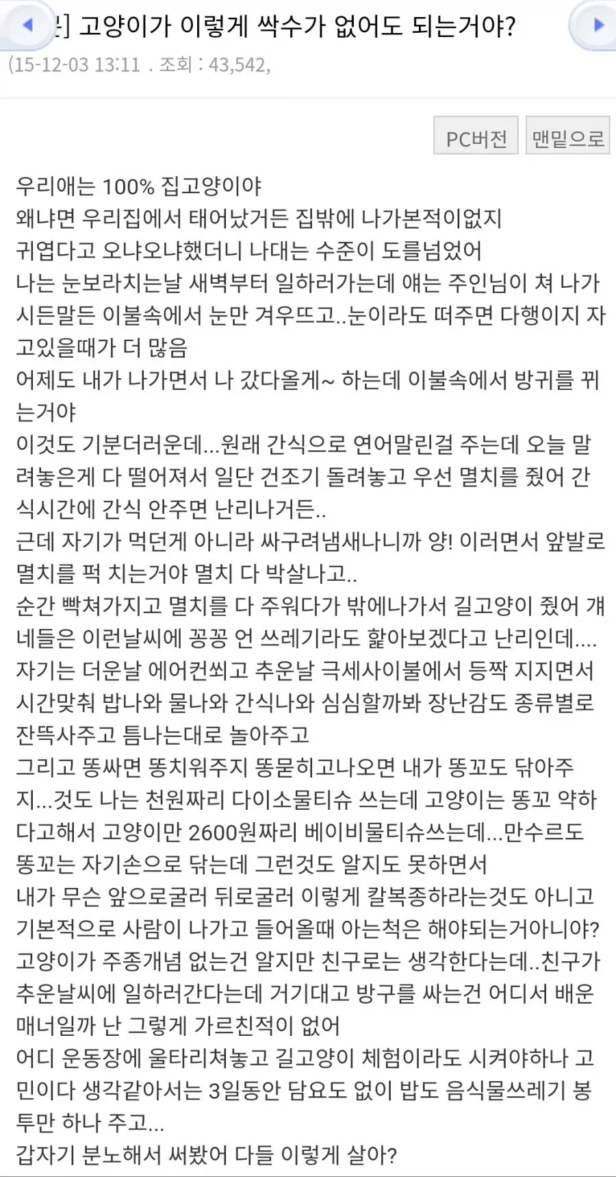 고양이가 원래 이렇게 싹수가 없어?.jpg_1.webp