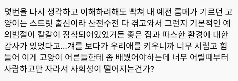 고양이가 원래 이렇게 싹수가 없어?.jpg_2.webp