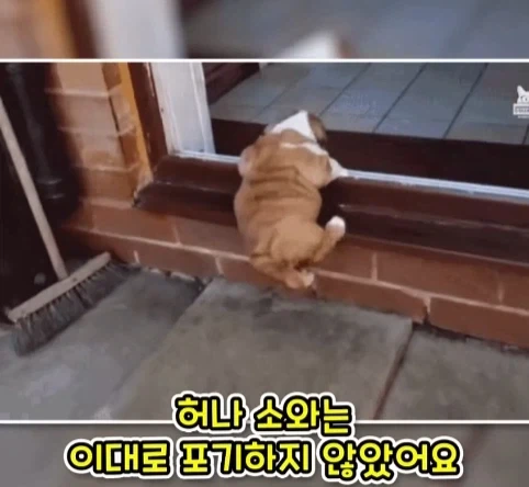 자연이 싫어한 친환경 인공섬.jpg_17.webp