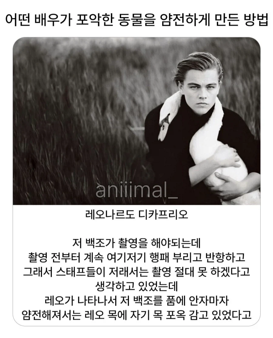 포악한 동물 얌전해지게 하는법_1.webp