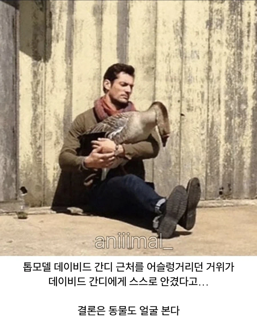 포악한 동물 얌전해지게 하는법_2.webp