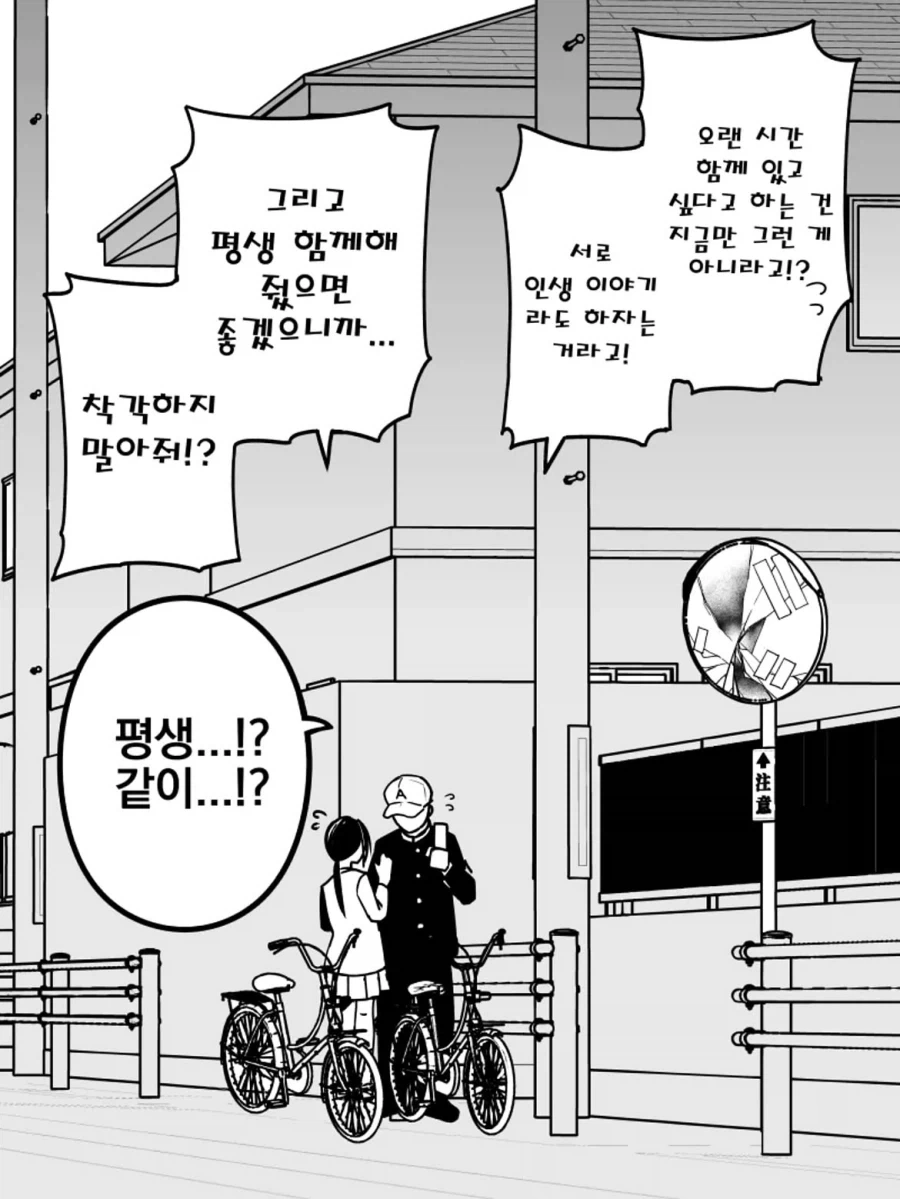 manga_77012197_4f8c_013.webp