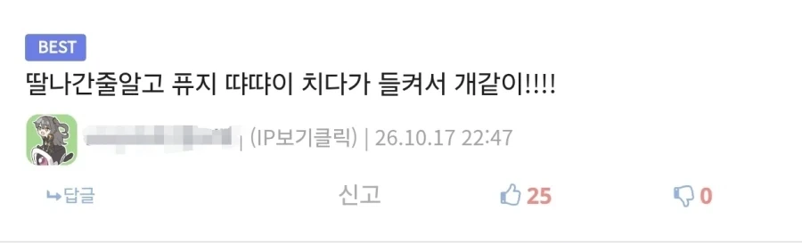 안 흔한 디시의 한국어지만 한국어가 아닌 댓글류_1.webp