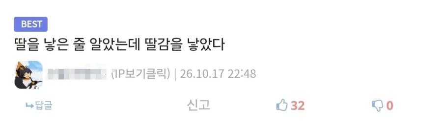 안 흔한 디시의 한국어지만 한국어가 아닌 댓글류_2.webp