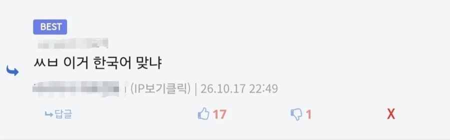 안 흔한 디시의 한국어지만 한국어가 아닌 댓글류_3.webp