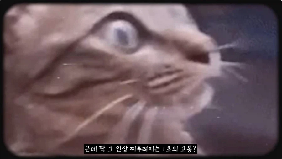 미국인들 지들 췌장 크다고 자랑하는 음료_16.webp