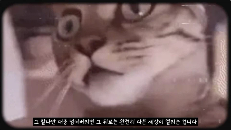 미국인들 지들 췌장 크다고 자랑하는 음료_17.webp