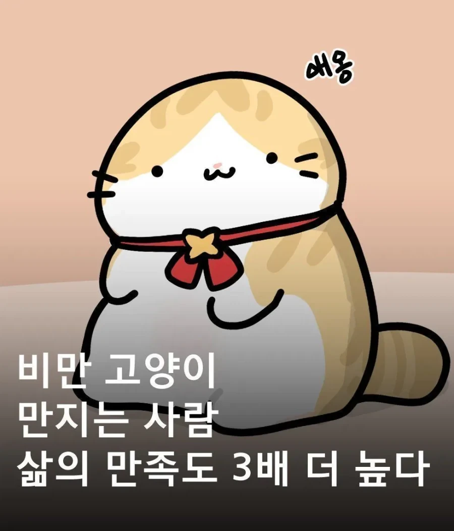비만 고양이를 키워야 하는 이유_1.webp