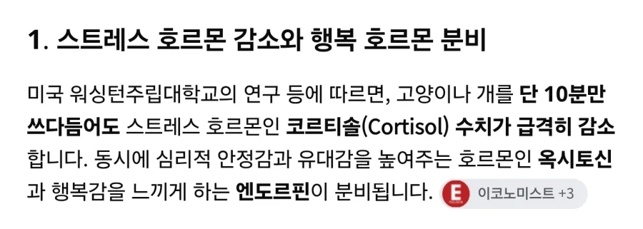 비만 고양이를 키워야 하는 이유_2.webp