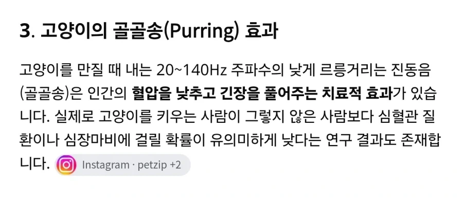 비만 고양이를 키워야 하는 이유_3.webp