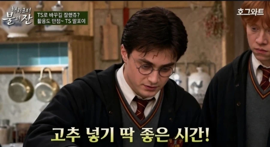 해리포터) 말포이 TS 밈의 간단 압축 요약.jpg_3.webp