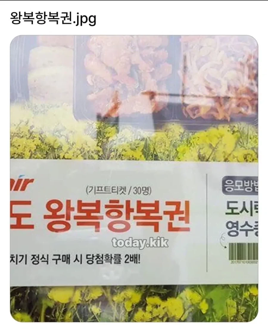 제주도 왕복항복권_1.webp