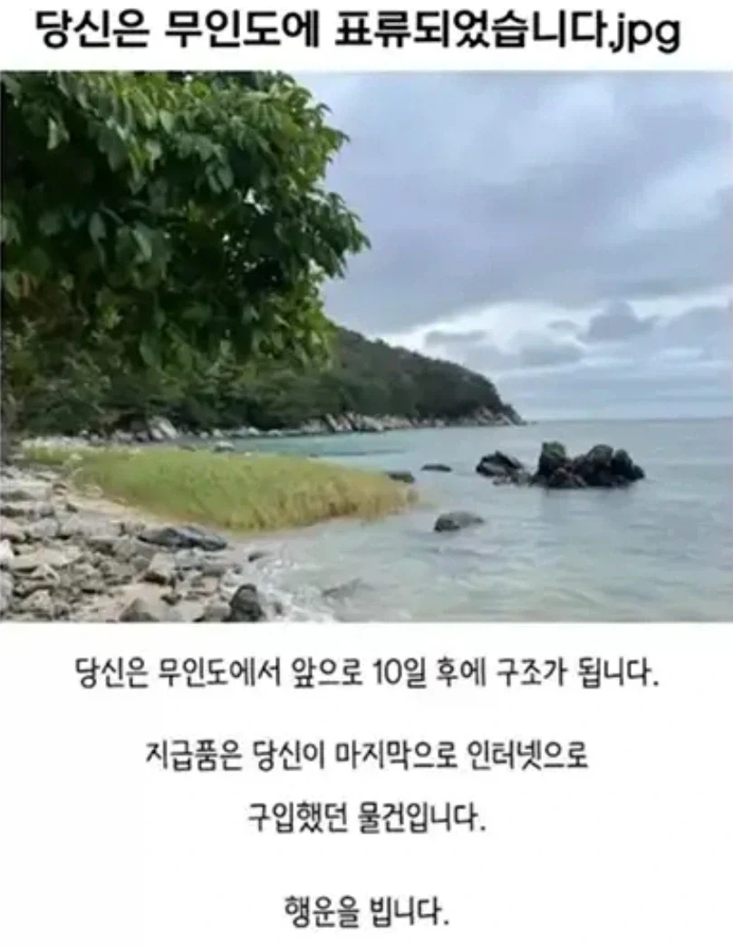 당신은 무인도에 표류되었습니다._1.webp