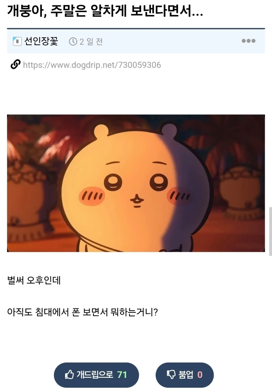 주말은 알차게 보낸다면서..._1.webp