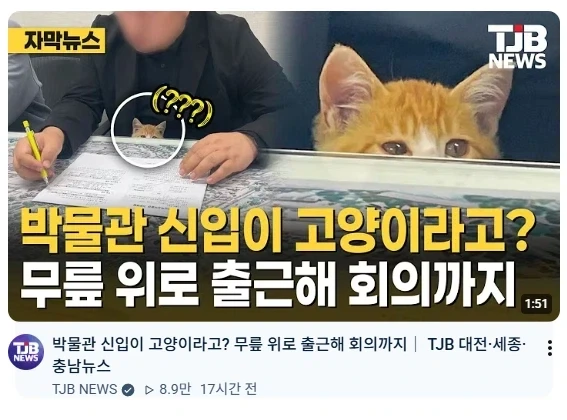 이야... 박물관 직원들 복지 미쳤네_1.webp