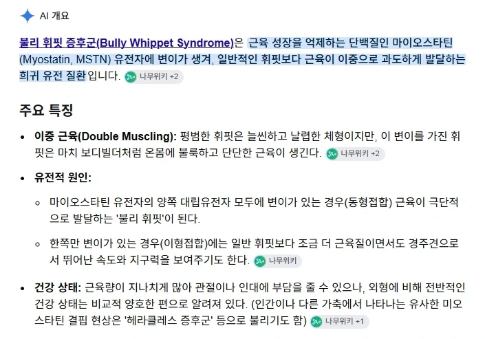 거대 휘핏 증후군에 걸린 댕댕이..._8.webp