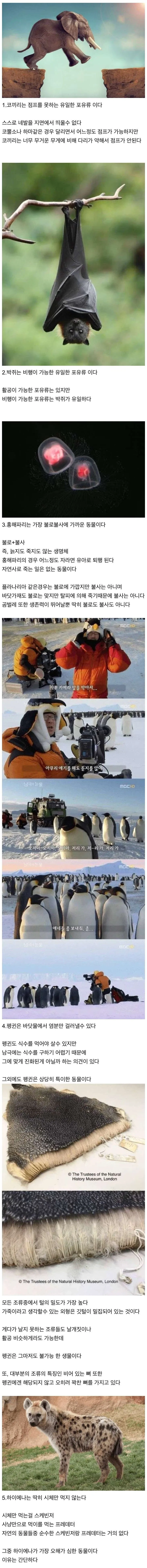 신기한 동물 지식 10가지_1.webp